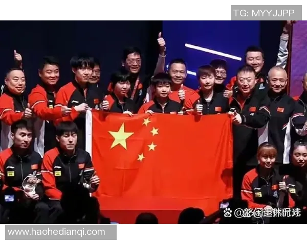 杭州乒乓球队状态分析与未来展望聚焦乒乓球发展新机遇