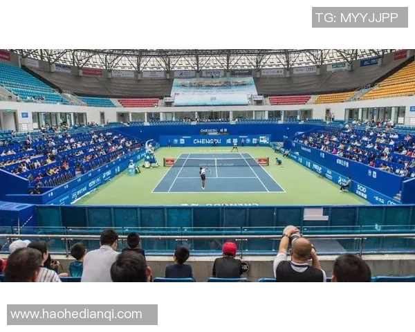 成都网球队荣登全国网球比赛经验排行榜第三名的背后故事与成就分析